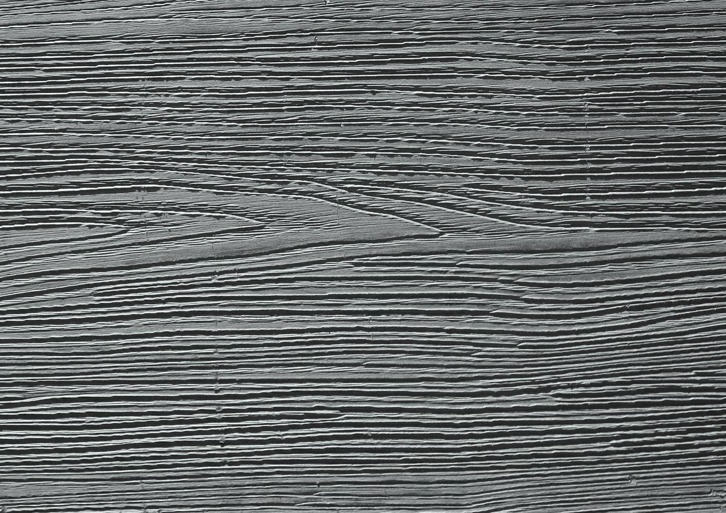 HomeBoard Neo WPC teraszburkolat világosszürke