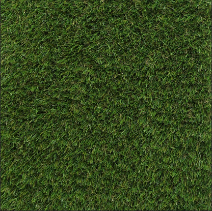 Sage 40 mm